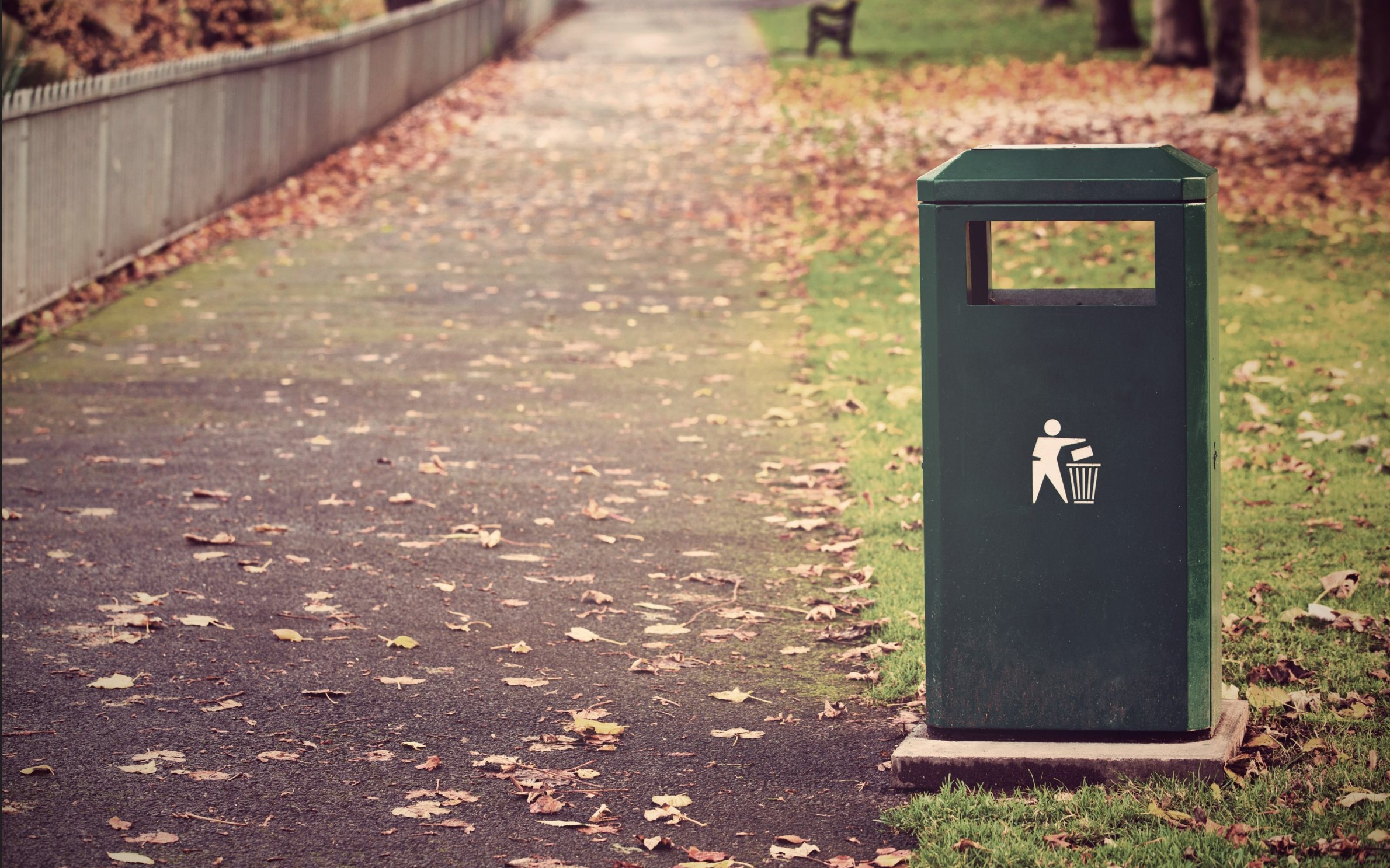 Foto di un cassonetto per la raccolta rifiuti su di una strada di passeggio