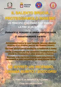 Locandina sugli incendi