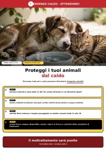 Foto di un gatto e un cane all'interno di una locandina
